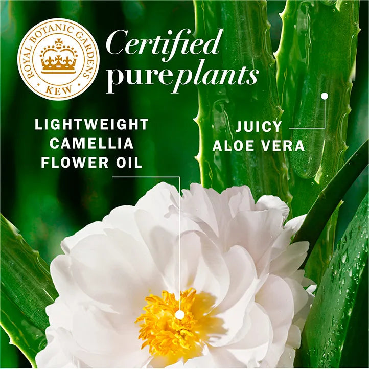 herbalessencesbio.it.com