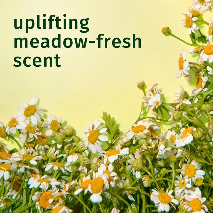 herbalessencesbio.it.com
